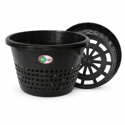 Nett Orchid Pot