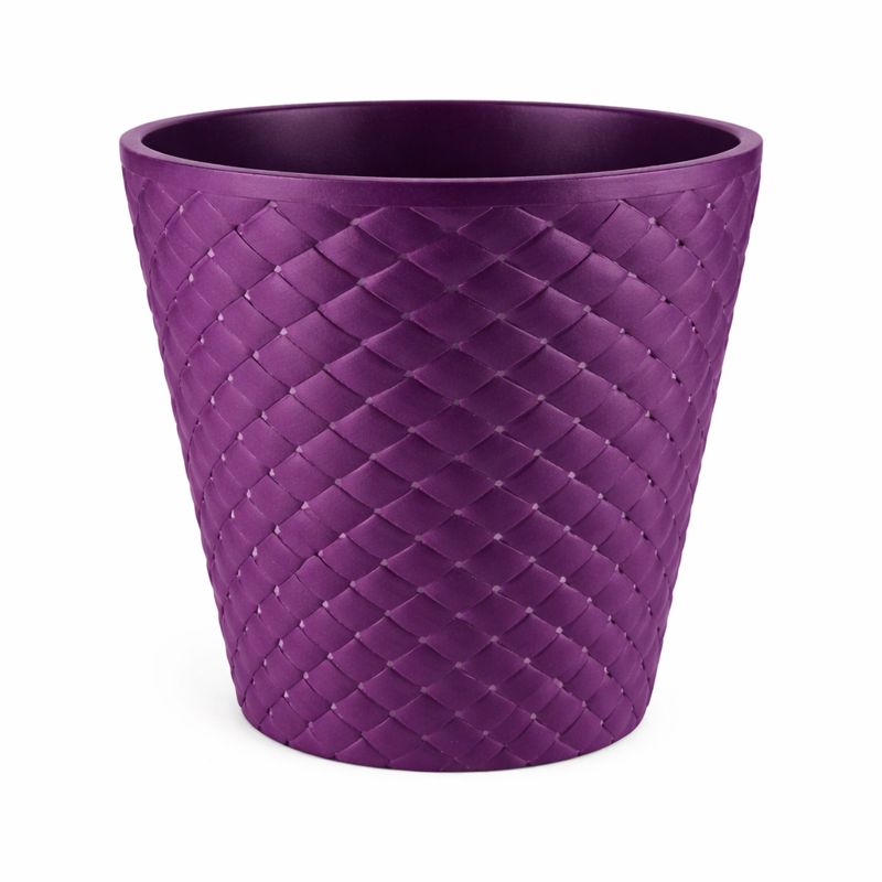 Century Bucket