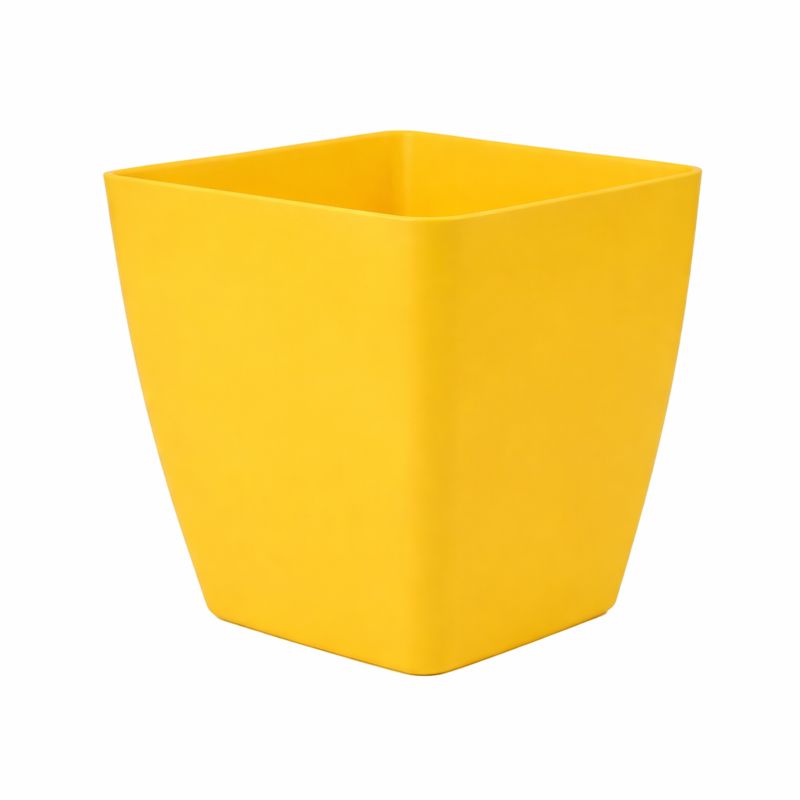 Blossom Pot