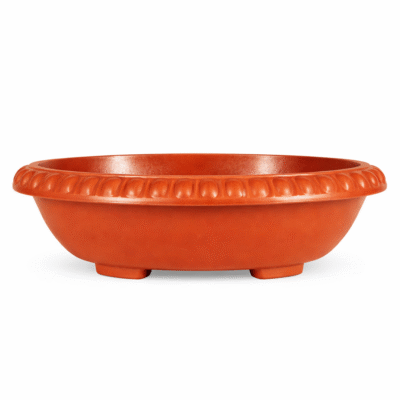 Bonsai Oval(Antique Look Fresh)