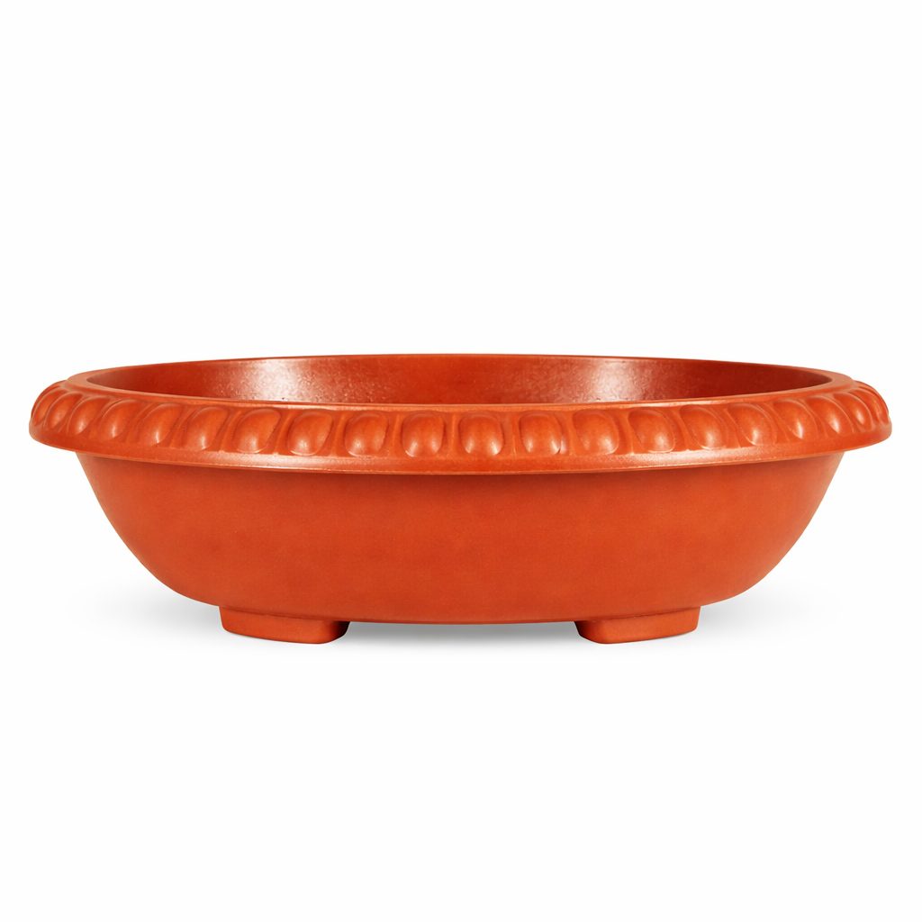 Bonsai Oval(Brownsarni)